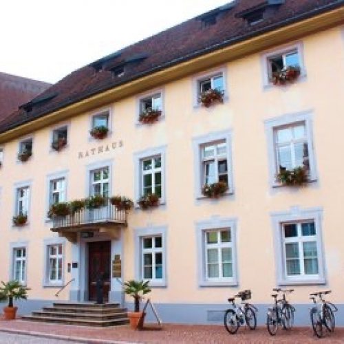 Gemeinderatssitzung online zeigen