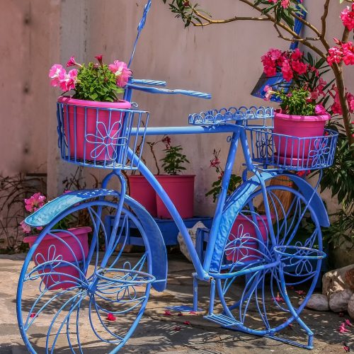 Begrünung Fussgängerzone