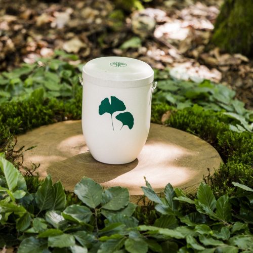 Foto von der Seite FriedWald GmbH