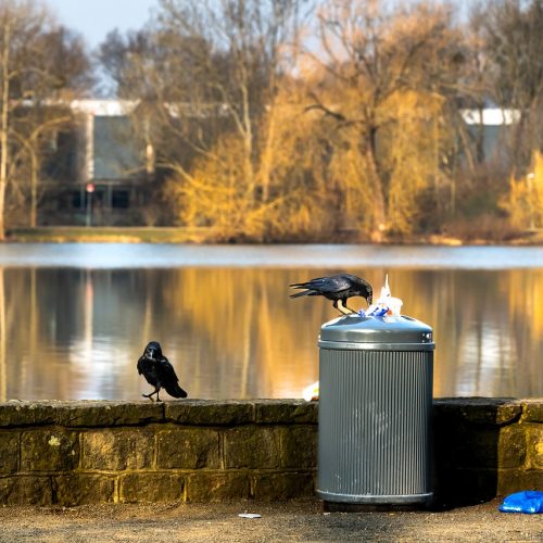 Mülleimer in der Innenstadt